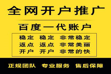优化SEM竞价策略：成功案例剖析